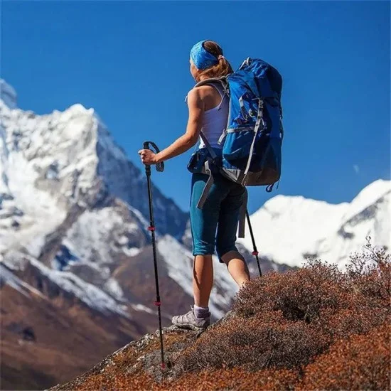 Naturehike ST10 Ultra Light Carbon Fiber Lock Trekking Pole - Fiery Red (54-120CM)
